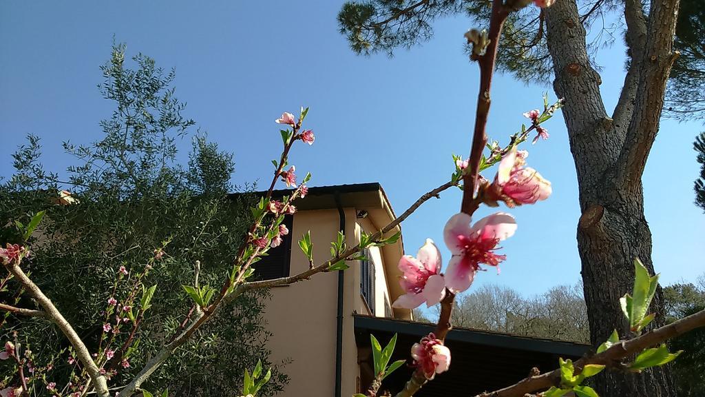 Agriturismo Podere Borgognano Massa Marittima Exterior photo
