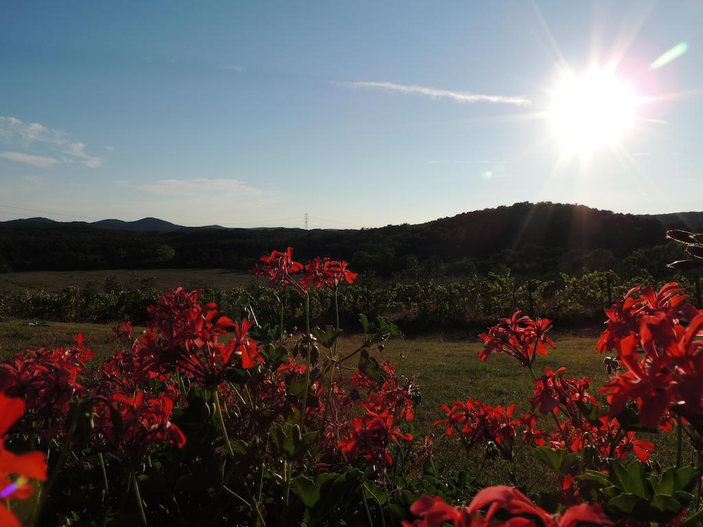 Agriturismo Podere Borgognano Massa Marittima Exterior photo